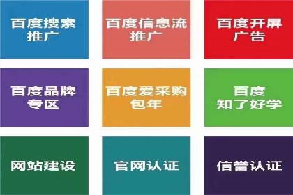提升转化率：SEM广告投放的实战案例分享